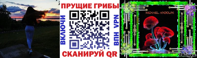 кракен как зайти наркота Стрежевой Галлюциногенные грибы Psilocybe